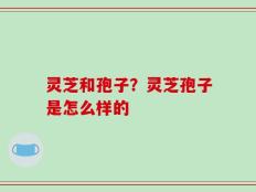 灵芝和孢子？灵芝孢子是怎么样的