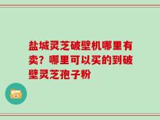 盐城灵芝破壁机哪里有卖？哪里可以买的到破壁灵芝孢子粉