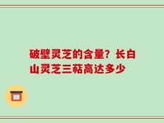 破壁灵芝的含量？长白山灵芝三萜高达多少