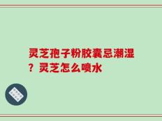 灵芝孢子粉胶囊忌潮湿？灵芝怎么喷水
