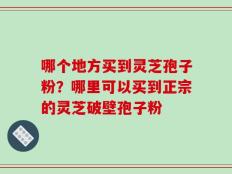 哪个地方买到灵芝孢子粉？哪里可以买到正宗的灵芝破壁孢子粉