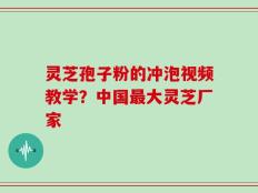 灵芝孢子粉的冲泡视频教学？中国最大灵芝厂家
