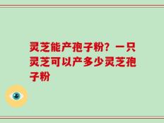 灵芝能产孢子粉？一只灵芝可以产多少灵芝孢子粉