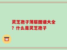 灵芝孢子薄层图谱大全？什么是灵芝孢子