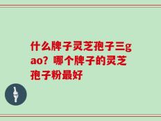 什么牌子灵芝孢子三gao？哪个牌子的灵芝孢子粉最好