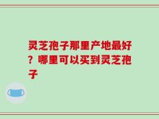 灵芝孢子那里产地最好？哪里可以买到灵芝孢子