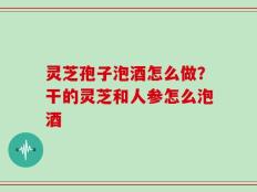 灵芝孢子泡酒怎么做？干的灵芝和人参怎么泡酒