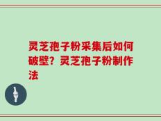灵芝孢子粉采集后如何破壁？灵芝孢子粉制作法