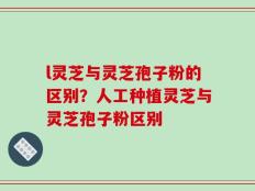l灵芝与灵芝孢子粉的区别？人工种植灵芝与灵芝孢子粉区别