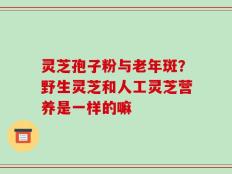 灵芝孢子粉与老年斑？野生灵芝和人工灵芝营养是一样的嘛