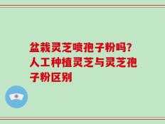 盆栽灵芝喷孢子粉吗？人工种植灵芝与灵芝孢子粉区别
