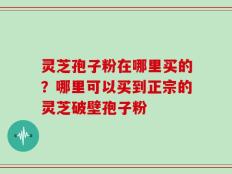 灵芝孢子粉在哪里买的？哪里可以买到正宗的灵芝破壁孢子粉