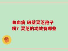 白血病 破壁灵芝孢子粉？灵芝的功效有哪些