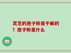 灵芝的孢子粉是干嘛的？孢子粉是什么