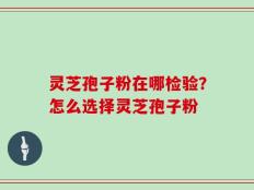 灵芝孢子粉在哪检验？怎么选择灵芝孢子粉
