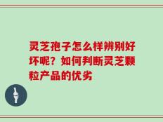 灵芝孢子怎么样辨别好坏呢？如何判断灵芝颗粒产品的优劣