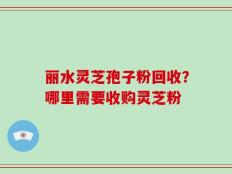 丽水灵芝孢子粉回收？哪里需要收购灵芝粉