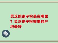 灵芝的孢子粉是在哪里？灵芝孢子粉哪里的产地最好