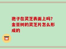 孢子在灵芝表面上吗？金豆树的灵芝片怎么形成的