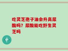 吃灵芝孢子油会升高尿酸吗？尿酸能吃野生灵芝吗