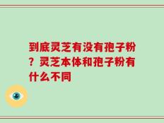 到底灵芝有没有孢子粉？灵芝本体和孢子粉有什么不同