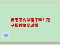 灵芝怎么做孢子粉？孢子粉种植全过程