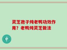 灵芝孢子炖老鸭功效作用？老鸭炖灵芝做法