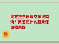 灵芝孢子粉跟艾草煲鸡汤？灵芝配什么服用保健效果好