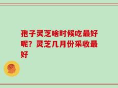 孢子灵芝啥时候吃最好呢？灵芝几月份采收最好