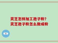 灵芝怎样加工孢子粉？灵芝孢子粉怎么做成粉