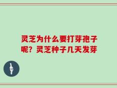 灵芝为什么要打芽孢子呢？灵芝种子几天发芽