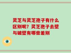 灵芝与灵芝孢子有什么区别呢？灵芝孢子去壁与破壁有哪些差别