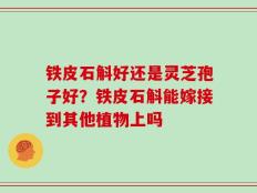 铁皮石斛好还是灵芝孢子好？铁皮石斛能嫁接到其他植物上吗