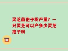 灵芝菌孢子粉产量？一只灵芝可以产多少灵芝孢子粉