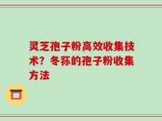 灵芝孢子粉高效收集技术？冬荪的孢子粉收集方法