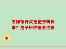 怎样锯开灵芝孢子粉粉末？孢子粉种植全过程