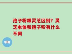 孢子粉跟灵芝区别？灵芝本体和孢子粉有什么不同