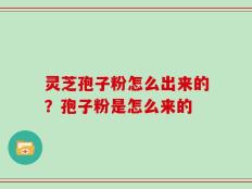 灵芝孢子粉怎么出来的？孢子粉是怎么来的