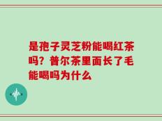 是孢子灵芝粉能喝红茶吗？普尔茶里面长了毛能喝吗为什么