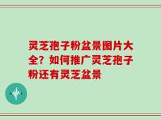灵芝孢子粉盆景图片大全？如何推广灵芝孢子粉还有灵芝盆景