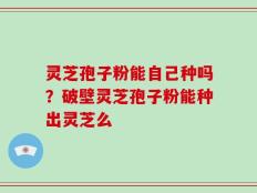 灵芝孢子粉能自己种吗？破壁灵芝孢子粉能种出灵芝么