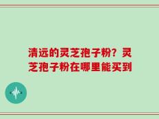 清远的灵芝孢子粉？灵芝孢子粉在哪里能买到