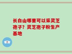 长白山哪里可以采灵芝孢子？灵芝孢子粉生产基地