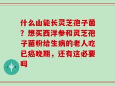 什么山能长灵芝孢子菌？想买西洋参和灵芝孢子菌粉给生病的老人吃已癌晚期，还有这必要吗