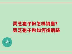 灵芝孢子粉怎样销售？灵芝孢子粉如何找销路