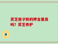 灵芝孢子粉的钾含量高吗？灵芝养护