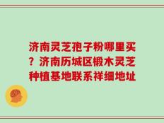 济南灵芝孢子粉哪里买？济南历城区椴木灵芝种植基地联系祥细地址