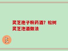 灵芝孢子粉药酒？松树灵芝泡酒做法