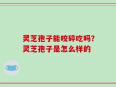 灵芝孢子能咬碎吃吗？灵芝孢子是怎么样的