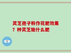 灵芝孢子粉作花肥效果？种灵芝施什么肥
